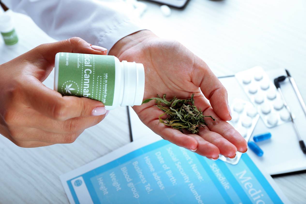 Ręka trzyma susz konopny i pojemnik